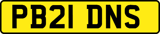 PB21DNS