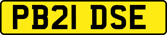 PB21DSE