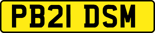 PB21DSM