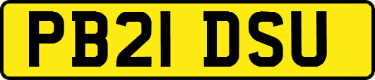 PB21DSU