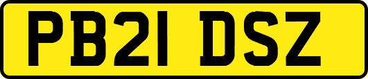 PB21DSZ