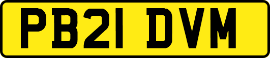 PB21DVM