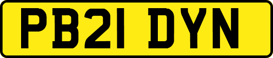 PB21DYN