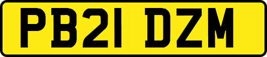 PB21DZM