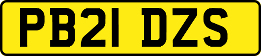 PB21DZS