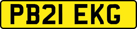 PB21EKG
