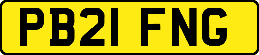 PB21FNG