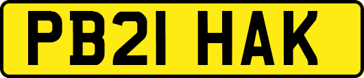 PB21HAK