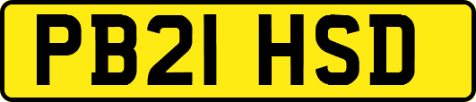 PB21HSD