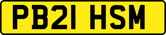 PB21HSM