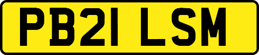 PB21LSM