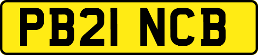PB21NCB