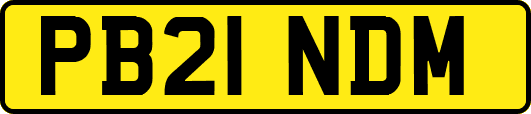PB21NDM