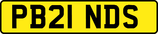 PB21NDS