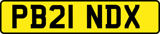 PB21NDX