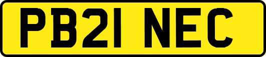 PB21NEC