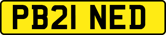 PB21NED