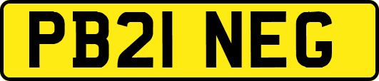 PB21NEG
