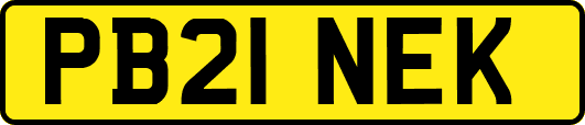 PB21NEK