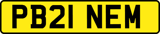 PB21NEM