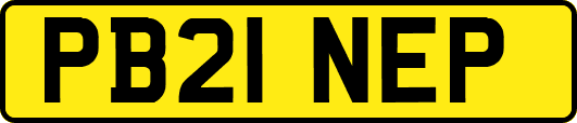 PB21NEP