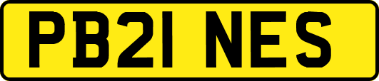 PB21NES