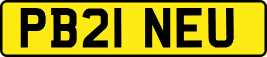 PB21NEU