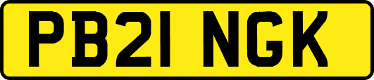 PB21NGK