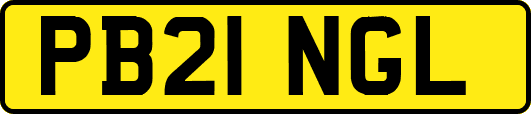 PB21NGL
