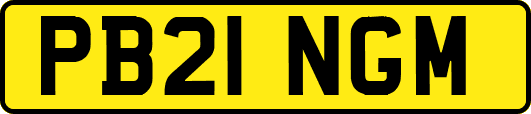 PB21NGM