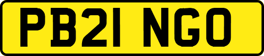 PB21NGO