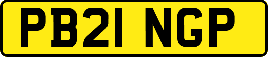 PB21NGP
