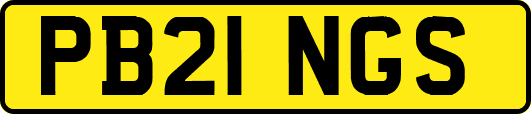PB21NGS
