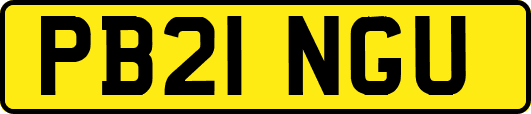 PB21NGU