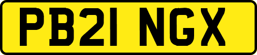 PB21NGX