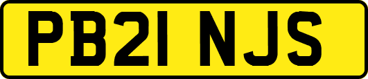 PB21NJS