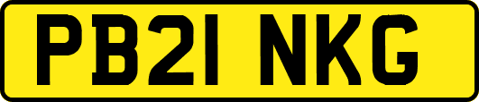 PB21NKG