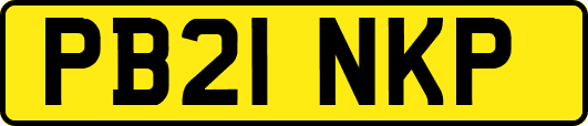 PB21NKP