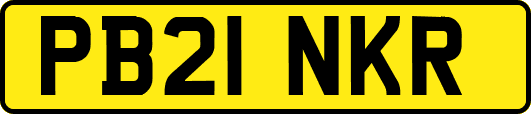 PB21NKR