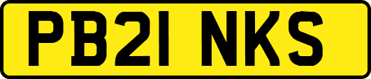PB21NKS