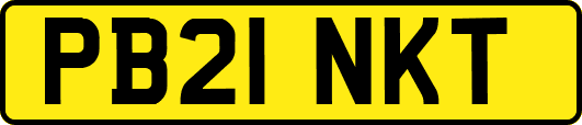 PB21NKT