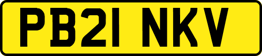 PB21NKV