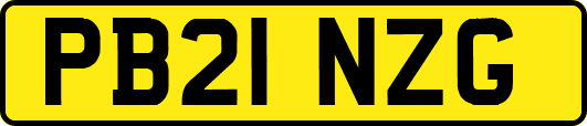 PB21NZG