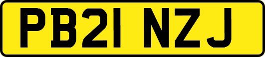 PB21NZJ