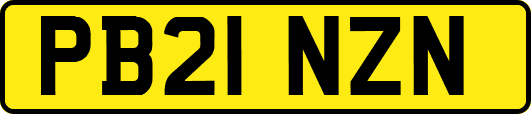 PB21NZN