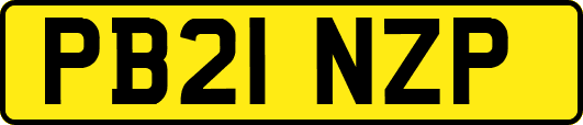 PB21NZP