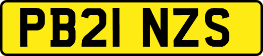 PB21NZS