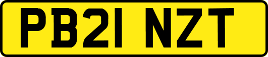 PB21NZT