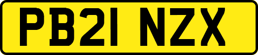 PB21NZX
