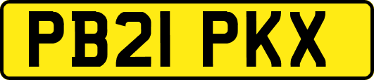 PB21PKX